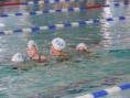 /album/a11-11-2015-fete-de-natation-a-la-louviere/dscn4692-jpg/